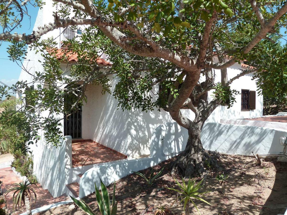 Algarve Booking Casa Alfarrobeira Benagil Caves Private Parking Airco Heated Private Pool - Al Carvoeiro  Exterior photo