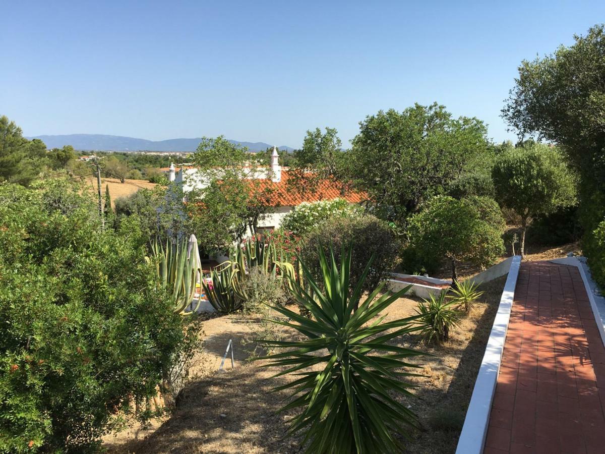 Algarve Booking Casa Alfarrobeira Benagil Caves Private Parking Airco Heated Private Pool - Al Carvoeiro  Exterior photo